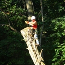 Penn West Tree Service - Tree Service