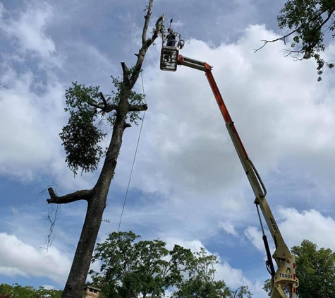 Styx's Tractor & Tree Service - Robertsdale, AL