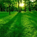Marco, LLC dba Evergreen Lawn Care & Rainmaker Irrigation - Landscape Designers & Consultants