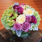 Monsoon Flowers