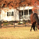 Rolling Acres Farm - Horse Training