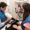 Pets & Vets Animal Clinic gallery