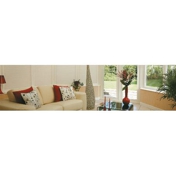 Gallery Image Number 1