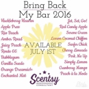 Scentsy Consultant - Home Decor