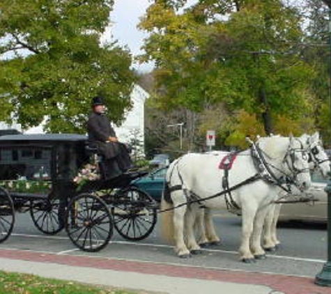 Horse & Carriage Livery of Loon Meadow Farm - Greenfield Center, NY