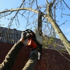 One Tripp Tree Service