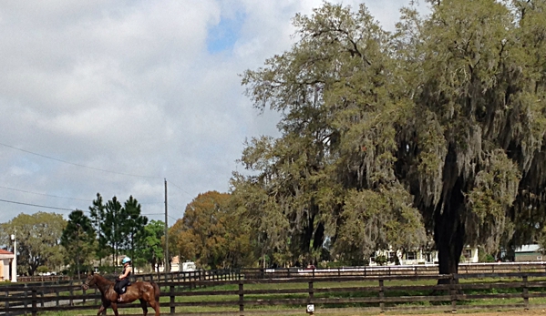 Around the Bend Acres - Plant City, FL