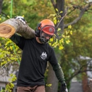 Prestige Tree Service - Tree Service