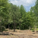 Upstate NY Brush Control - Forestry Consulting