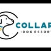 Collars Dog Resort gallery