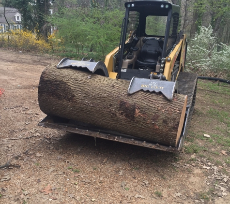 Cobra Tree Service - Memphis, TN