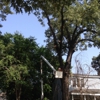 Killian's Tree Service gallery