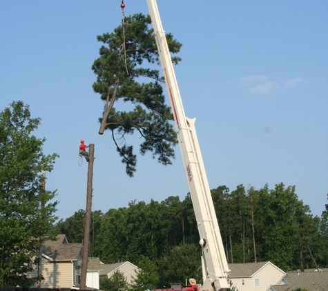 Lineberger's Tree Services Inc - Raleigh, NC