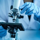Lindsley F. Kimball Research Institute of New York Blood Center Enterprises - Upper East