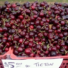 Hollywood Farmers Market