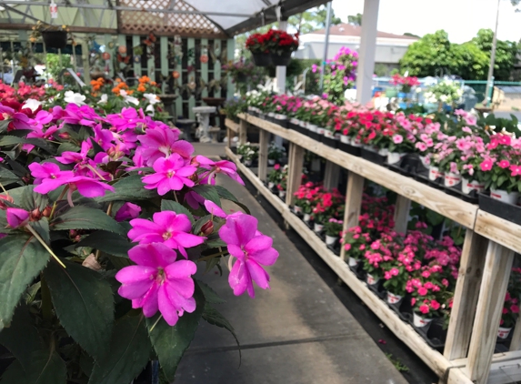 Dolins Garden Center - Saint Petersburg, FL