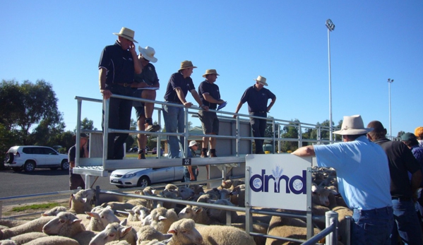 DMD Livestock & Property Agents Pty Ltd