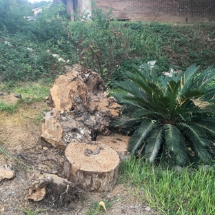 Fernando's Lawn Service - Valley mills, TX. Hauling Away stumps!! We do it all!