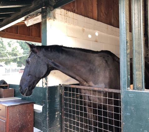 Paddock Riding Club - Los Angeles, CA