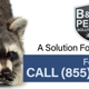 B & D Pest Solutions, St. Louis