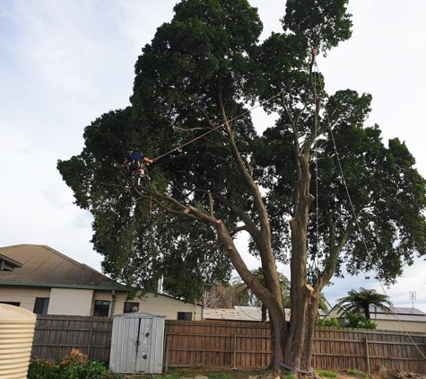 Rob's Tree Service - Tyers, VIC