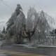 Payne County Tree Service