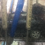 Country Sudser Car Wash