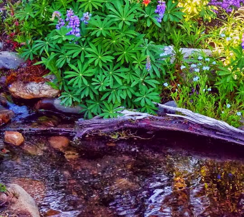 Ponds by Biologists - West Linn, OR