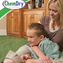 Premier Chem-Dry - Carpet & Rug Cleaners