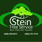 Stein Tree