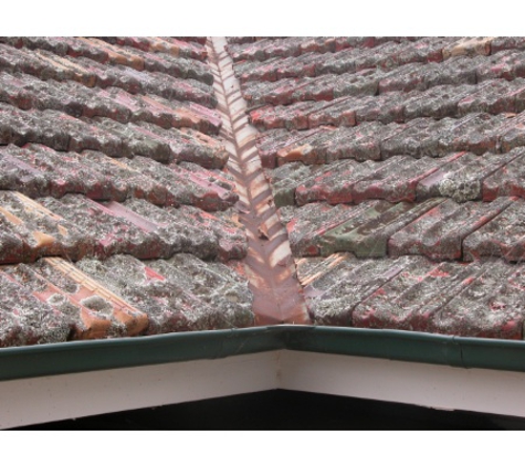 Resi Inspect - West Bathurst, NSW