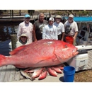 Mexico Beach Charters - Tourist Information & Attractions