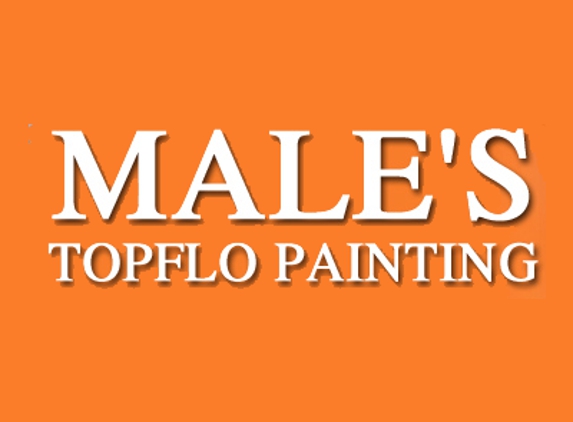 Male's Topflo Painting - Malta, IL