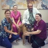 Towne Center Animal Hospital gallery