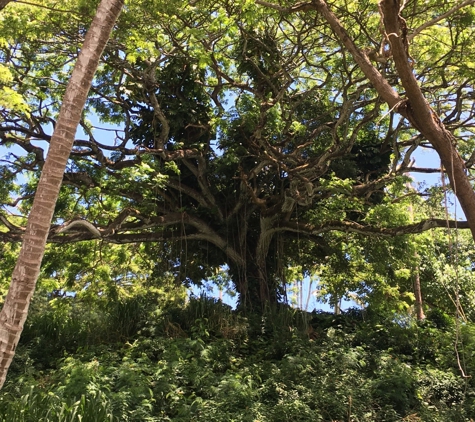 He'eia State Park - Kaneohe, HI