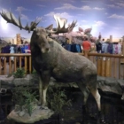 Cabela's