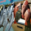 Reel Knotty Charters - Fishing Charters & Parties