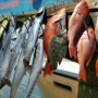 Reel Knotty Charters