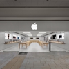 Apple Park City gallery