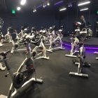 Vortex Cycle Studio