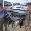 North Myrtle Beach Fishing Charters gallery