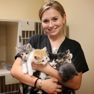 Middendorf Animal Hospital - Florence, KY