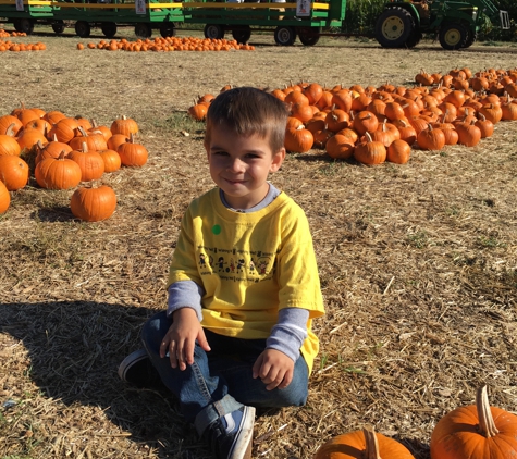 The Pumpkin Farm - Citrus Heights, CA