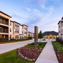 Alexan Magnolia Apartments - Apartments