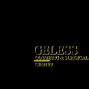 Ageless Cosmetic and Surgical Center - Day Spas