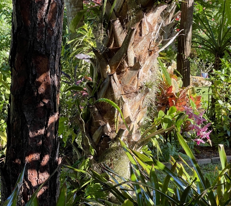 Green Door Nursery - Naples, FL