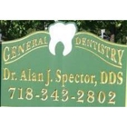 Alan J Spector, DDS