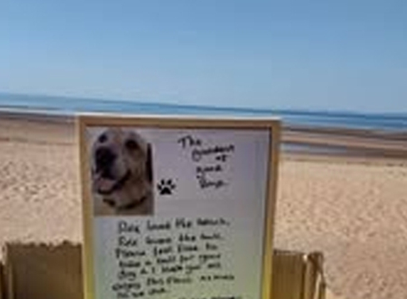 South Paw Dog Grooming - Pialba, QLD