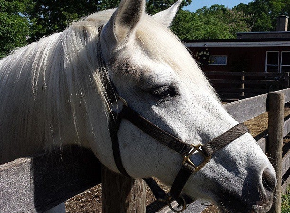 Bronx Equestrian Center - Bronx, NY