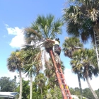 Redwine's Tree Service LLC